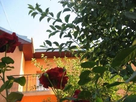 Lary Hostel Suceava Exteriör bild
