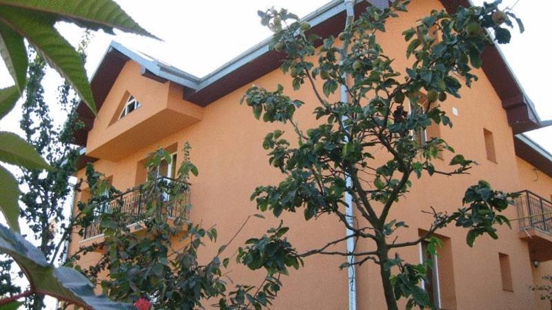 Lary Hostel Suceava Exteriör bild