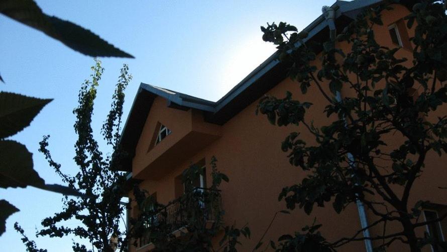 Lary Hostel Suceava Exteriör bild