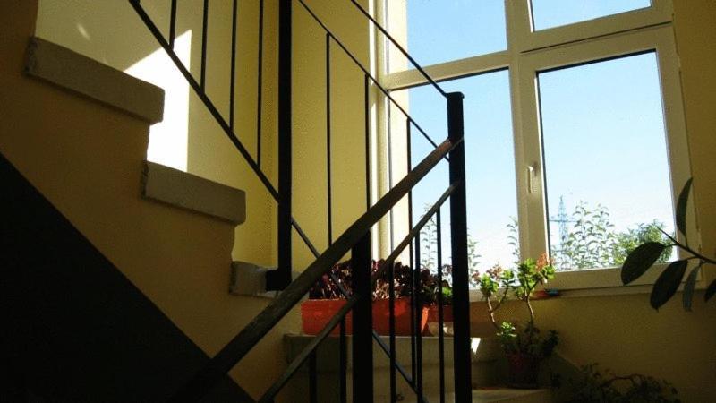 Lary Hostel Suceava Exteriör bild