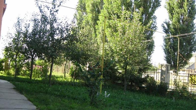 Lary Hostel Suceava Exteriör bild