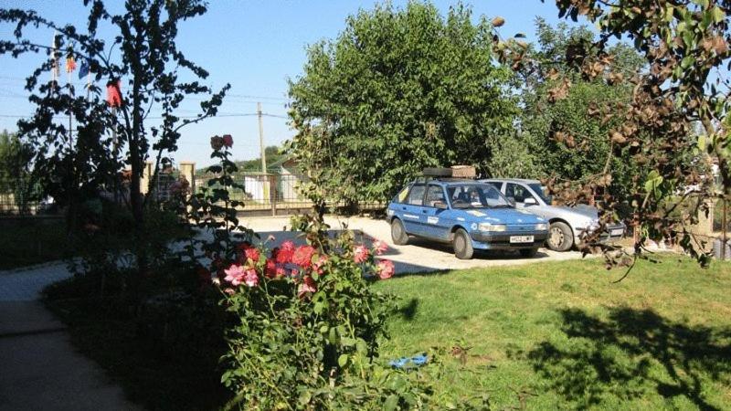 Lary Hostel Suceava Exteriör bild